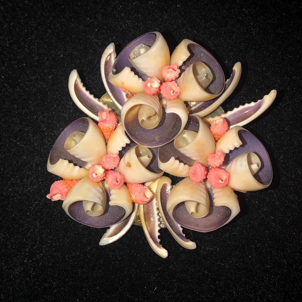 Vintage 1950's Shell brooch/pin